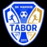 NK Марибор Табор U19