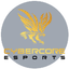CyberCore Esports