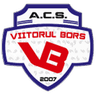 CS Вииторуль Борш U15