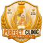 Перфект Клиник FC