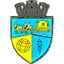ФК Мизил