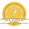 ACS Вииторул Питешти U15