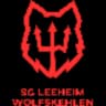 SG Лиайм/Вольфскелен
