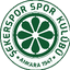 Анкара Шекерспор U19