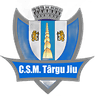 КСМ Тг Жиу J3 (жен.)