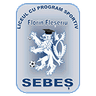 ЛПС Фл. Флешериу Себеш J1