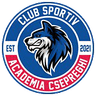 ЦС Академия Чепреги Бая Маре Б