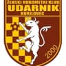 Ударник U12