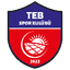 Темиз Энерджи Бирлиги
