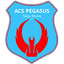 ACS Пегасус Тыргу-Муреш J3 (жен.)
