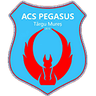 ACS Пегасус Тыргу-Муреш J3 (жен.)