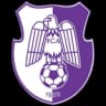 ФК Аргеш Питешти U19