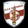 Солесинезе