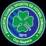 ACSF Джуниорул Клуж II
