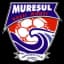 ACS Мурешуль Русии Мунти U19