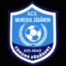 ACS Мурешуль Задарени U19