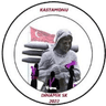 Кастамону Динаmik