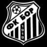 ФК Бор 1919 U19