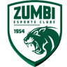 Зумби U15