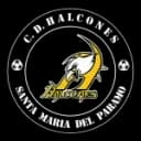 C.D. Халконес Санта-Мария