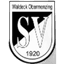 SV Вальдек-Оберменцинг U19 II
