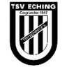 ТСФ Эхинг/Фрайзинг U19