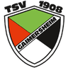ТСФ Гаймерсхайм U19