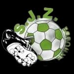 СЖЗ 4