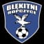 Блэнкитни Ропчице U19