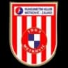 Меткович Залмо U13