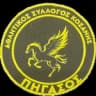 АС Фгасос Козанис U20
