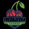 КК Трешневка 2009 U13