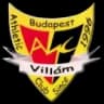 АК Виллам
