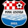 МНК Усора
