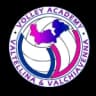 Волей Академия V&V