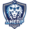 Днепр Могилев