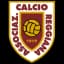 Реджана 1919