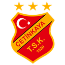 Четинка ТСК