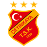 Четинка ТСК
