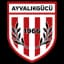 Айваликгюджю Беледийеспор