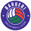 Сан-Паулу Баруери