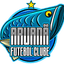 Аруанань ФК (Sub-12)