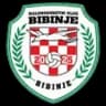МНК Бибинье 2025