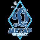 Динамо-Метар Челябинск