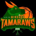 Миндоро Тамарау
