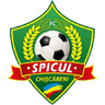 Спикул Чискарени