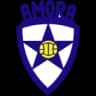 Амора ФК