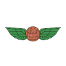 Грасиоза ФК