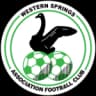 Уэстерн Спрингс AFC