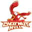 Честнат Хилл Гриффинс
